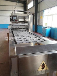 中國氣調包裝機排名前三品牌 貝爾全自動盒式包裝機及其應用